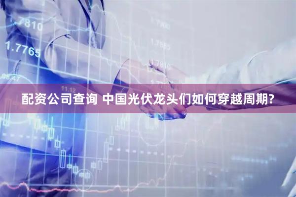 配资公司查询 中国光伏龙头们如何穿越周期?